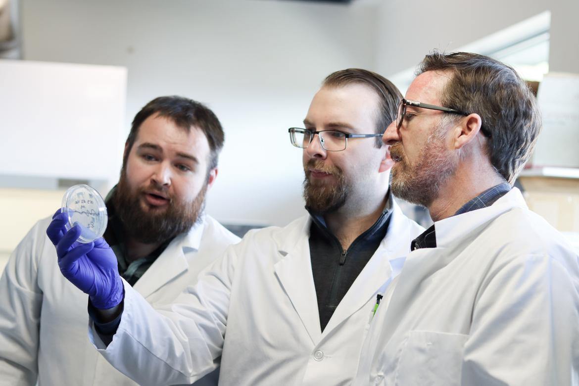 Joseph Nowlan, Scott Britney and Dr. Spencer Russell, wear white lab coats, while looking at a Petri dish.