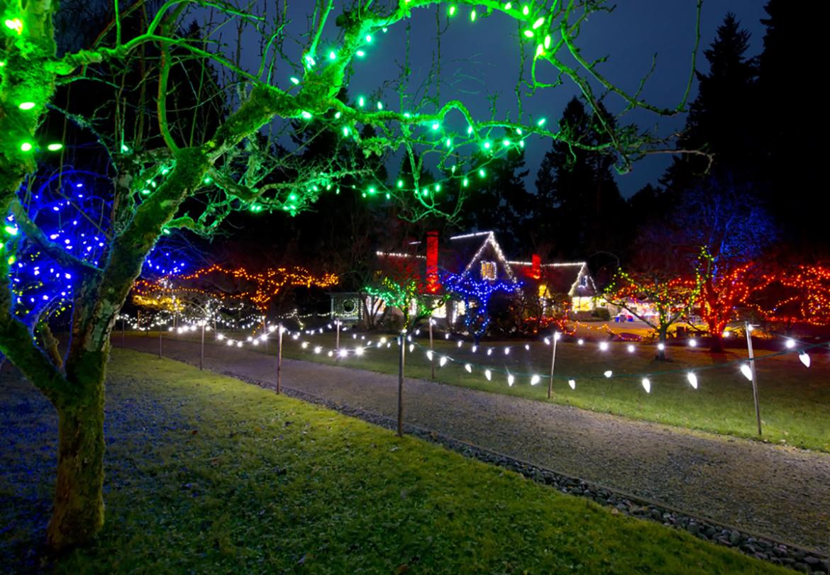 Green, blue and red holiday lights twinkle and glow on Milner House and trees and shrubs.